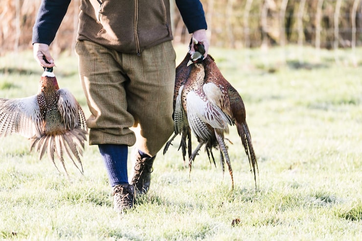 Goose Hunting Services